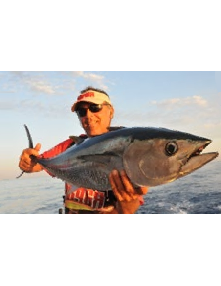 Rapala Leurres durs  HUSKY MAGNUM - coloris BSRD - 16cm / 67g - profondeur de nage 7.5m - 6