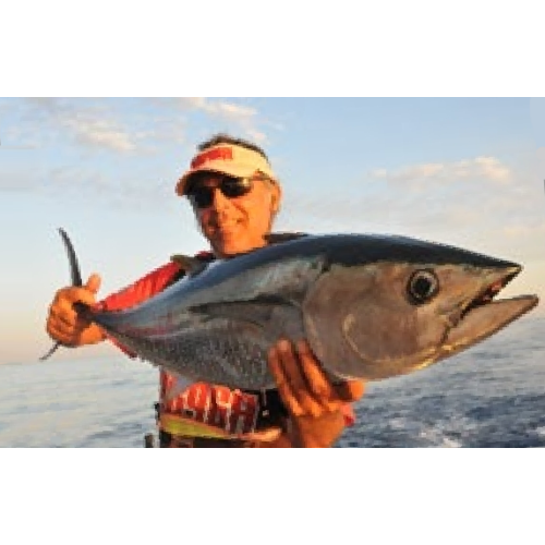Rapala Leurres durs  HUSKY MAGNUM - coloris RH - 16cm / 67g - profondeur de nage 7.5m - 6