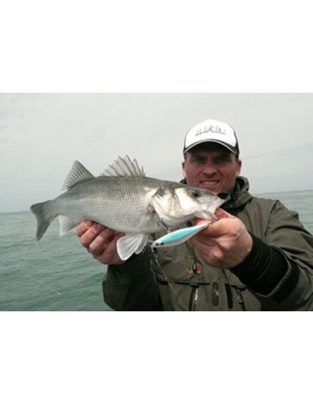 Rapala Leurres durs SHADOW RAP SHAD - coloris FT - 9cm / 12g - profondeur de nage de 0.90 à 1.20m - 6