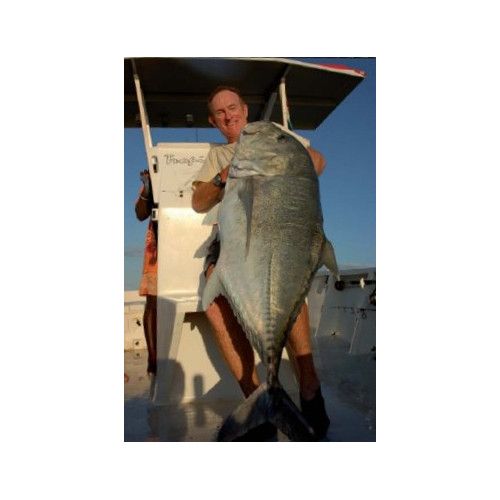 Rapala Leurres durs FLOATING MAGNUM  - coloris FT -  11cm / 15g - profondeur de nage de 2.70 à 3.30m - 4