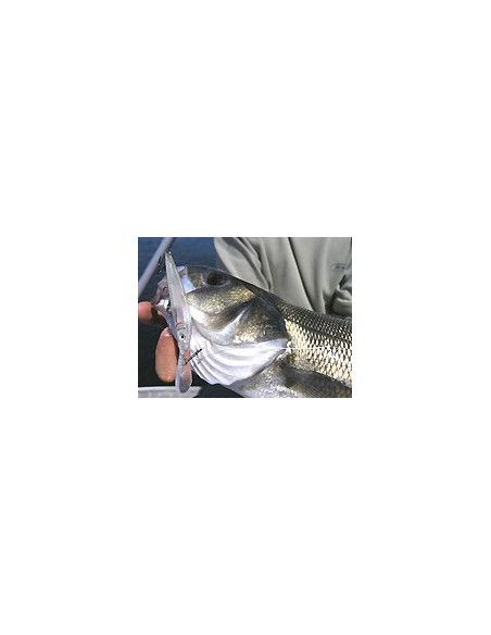 Rapala Leurres durs  HUSKY JERK - coloris RH -  12cm / 13g - profondeur de nage de 1.20 à 2.40m - 1