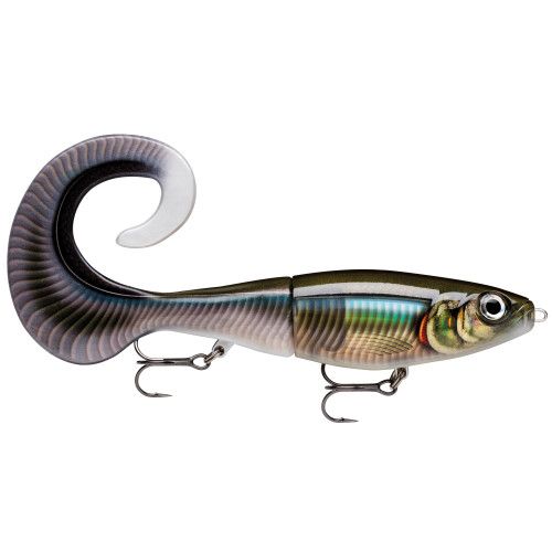 Rapala Leurres durs X-RAP ROL - coloris SMB - 17cm / 40g - profondeur de nage de 0,50 m à 1 m - 1