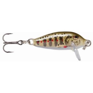 Rapala Leurres durs COUNTDOWN - coloris GJTR - 3cm / 4g - profondeur de nage de 0.60 à 0.90m - 1