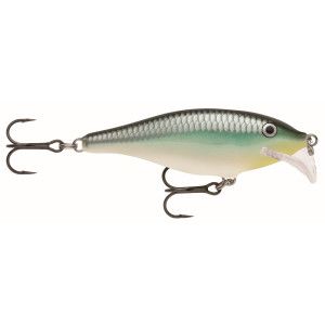 Rapala Leurres durs SCATTER RAP SHAD - coloris BBH - 5cm / 5g - profondeur de nage de 1.80 à 2.10m - 2