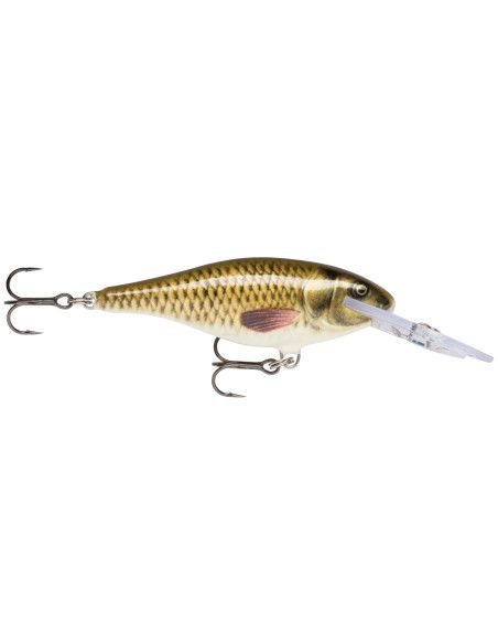 Rapala Leurres durs  SHALLOW SHAD RAP - coloris CARP - 7cm / 7g - profondeur de nage de 1.20 à 1.80m - 2