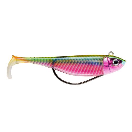 Storm Leurres Souples Storm Biscay Deep Shad - Coloris SSDL - Taille 17cm - Poids 131g - 2