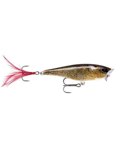 Rapala Leurres durs SKITTER POP - coloris FML - 7cm / 7g - profondeur de nage surface - 2