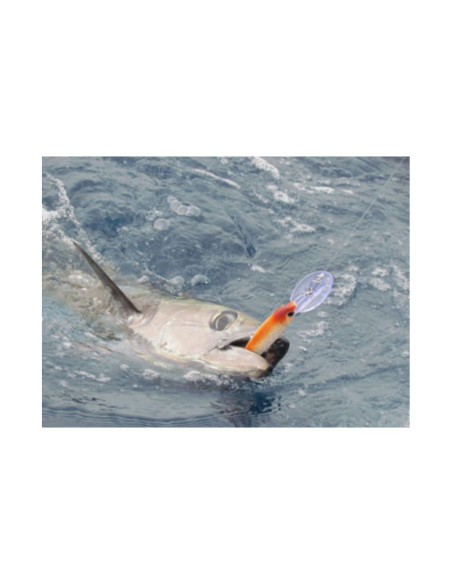 Leurres Durs X-Rap Magnum - Coloris RH - 18cm/97g - Profondeur de Nage 12m