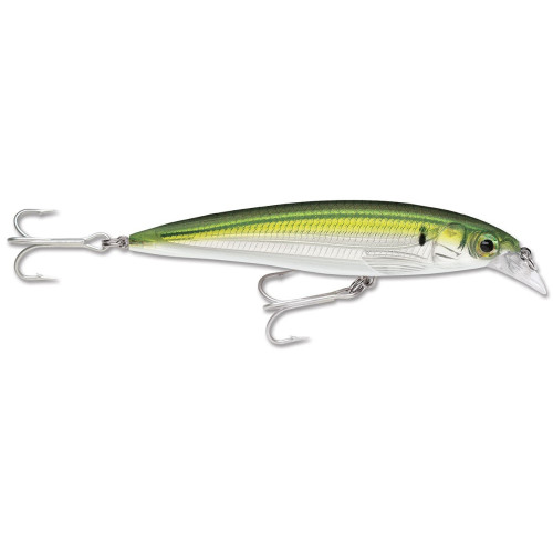 Rapala Leurres durs  X-RAP SALTWATER  - coloris PLD -  10cm / 13g - profondeur de nage de 1.20 à 1.80m - 2