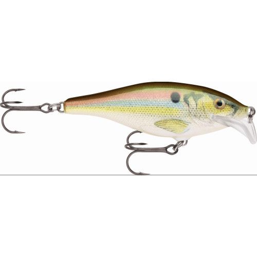 Leurres durs SCATTER RAP SHAD - coloris RSL - 7cm / 7g - profondeur de nage de 1.80 à 2.70m