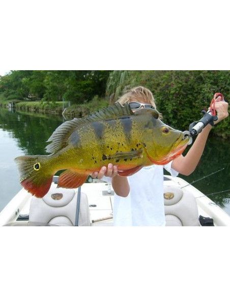Leurres durs DOWN DEEP HUSKY JERK - coloris GPP -  12cm / 15g - profondeur de nage de 2.40 à 5.90m