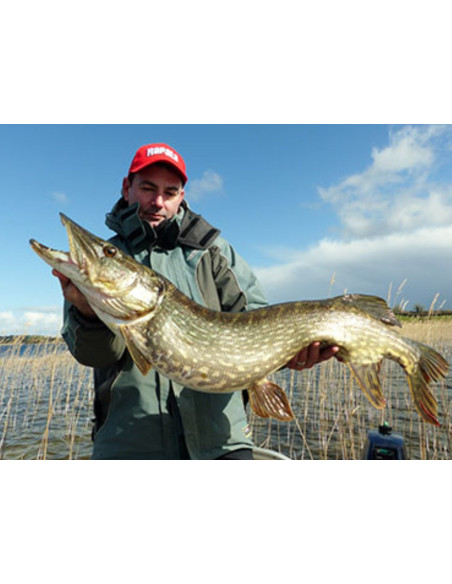Leurres durs  SUPER SHAD RAP - coloris RFSH - 14cm / 45g - profondeur de nage de 1.50 à 2.70m