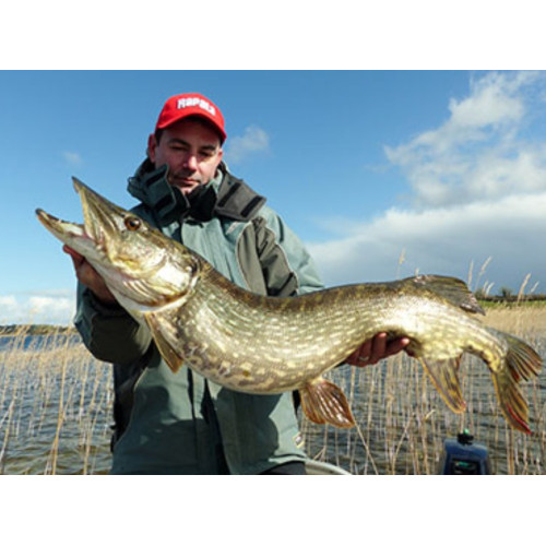 Leurres durs  SUPER SHAD RAP - coloris FP - 14cm / 45g - profondeur de nage de 1.50 à 2.70m