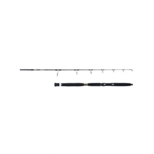 Canne à Pêche Spinning ECLIPZ - 1,85m - 1+1 Sections - 50 - 100 g