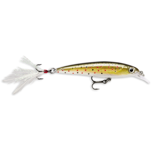 Rapala Leurres durs  X-RAP - coloris P -  10cm / 13g - profondeur de nage de 1.20 à 1.80m - 2