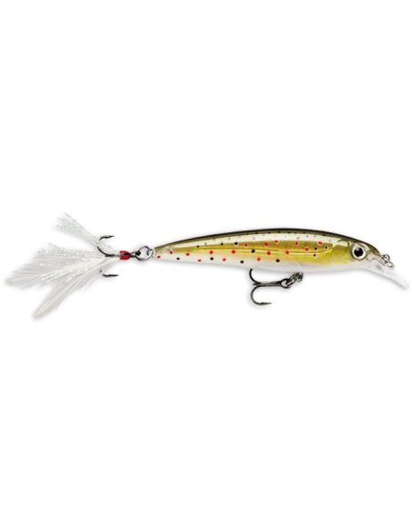 Rapala Leurres durs  X-RAP - coloris P -  10cm / 13g - profondeur de nage de 1.20 à 1.80m - 2