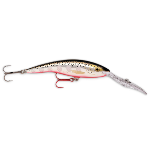 Rapala Leurres durs DEEP TAIL DANCER - coloris SFL - 11cm / 22g - profondeur de nage 9m - 2