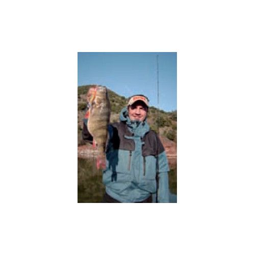 Rapala Leurres durs  X-RAP SHAD - coloris GGH -  8cm / 14g - profondeur de nage de 2.10 à 4.50m - 2