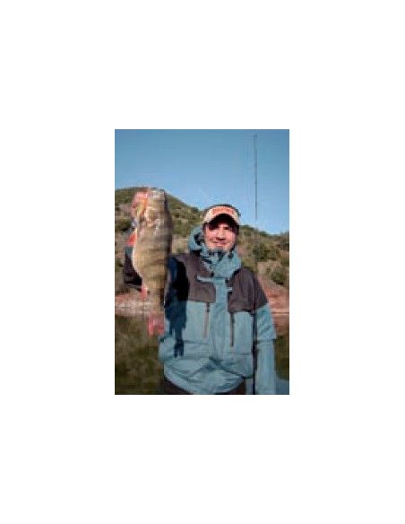 Rapala Leurres durs  X-RAP SHAD - coloris GGH -  8cm / 14g - profondeur de nage de 2.10 à 4.50m - 2