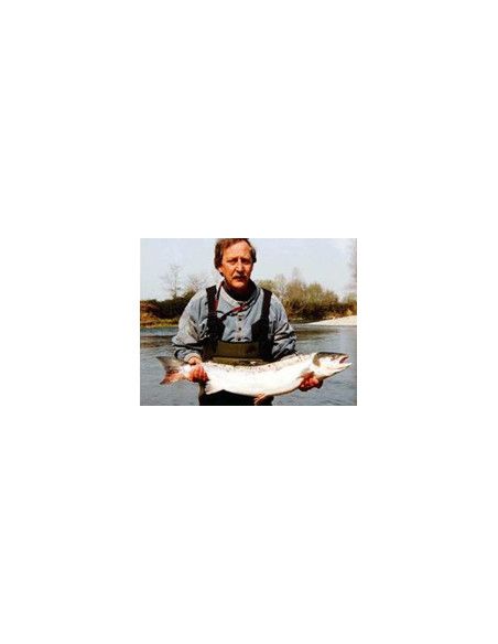 Rapala Leurres durs  MINI FAT RAP - coloris P - 3cm / 4g - profondeur de nage de 0.90 à 1.80m - 2