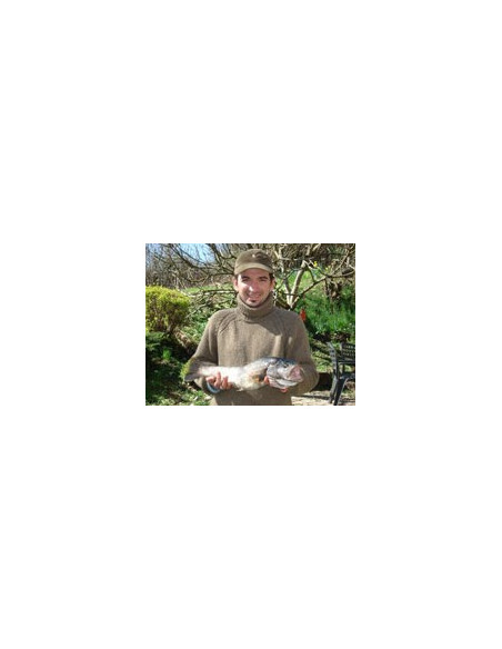 Rapala Leurres durs  SHALLOW SHAD RAP - coloris SFC - 7cm / 7g - profondeur de nage de 1.20 à 1.80m - 3