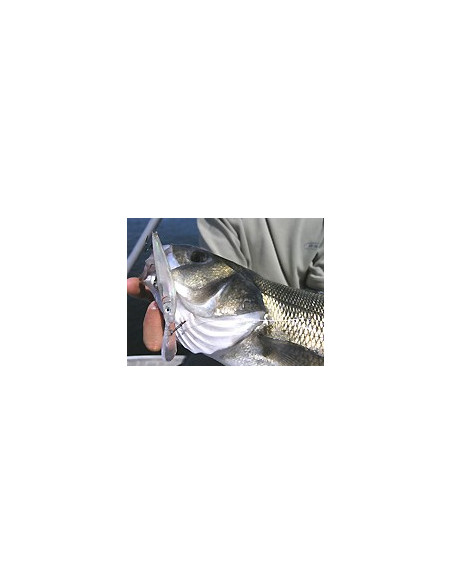 Rapala Leurres durs  HUSKY JERK - coloris GP -  10cm / 10g - profondeur de nage de 1.20 à 2.40m - 3