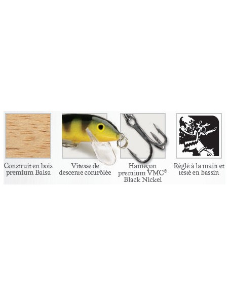 Rapala Leurres durs COUNTDOWN - coloris GJTR - 5cm / 5g - profondeur de nage de 0.90 à 1.50m - 3