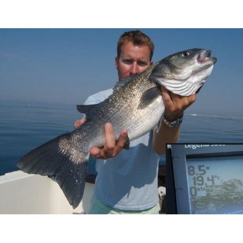 Storm Leurres durs THUNDERSTICK MADFLASH DEEP - coloris 653 - 11cm / 18g - profondeur de nage : de 3.60 à 5.80m - 3