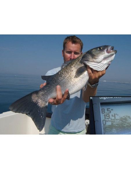 Storm Leurres durs THUNDERSTICK MADFLASH DEEP - coloris 653 - 11cm / 18g - profondeur de nage : de 3.60 à 5.80m - 3
