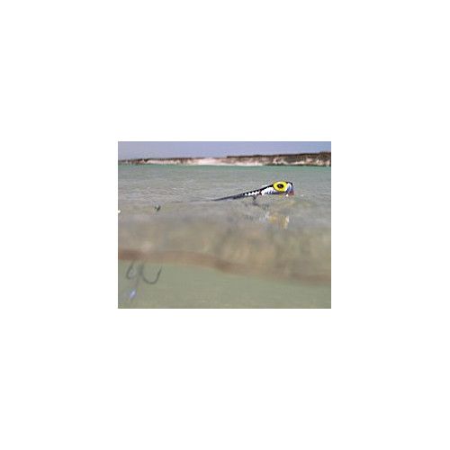 Storm Leurres durs RATTLIN CHUG BUG - coloris 1360 - 8cm / 10g - profondeur de nage : Surface - 3