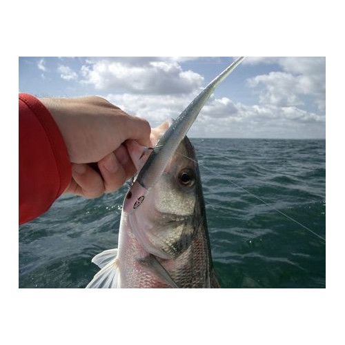 Storm Leurre souple PRO SLUG - Coloris GPOR - 13cm - Poids variable - profondeur de nage : Variable - Sachet de 8 piÃ©ces - 3