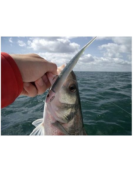Storm Leurre souple PRO SLUG - Coloris GPOR - 13cm - Poids variable - profondeur de nage : Variable - Sachet de 8 piÃ©ces - 3