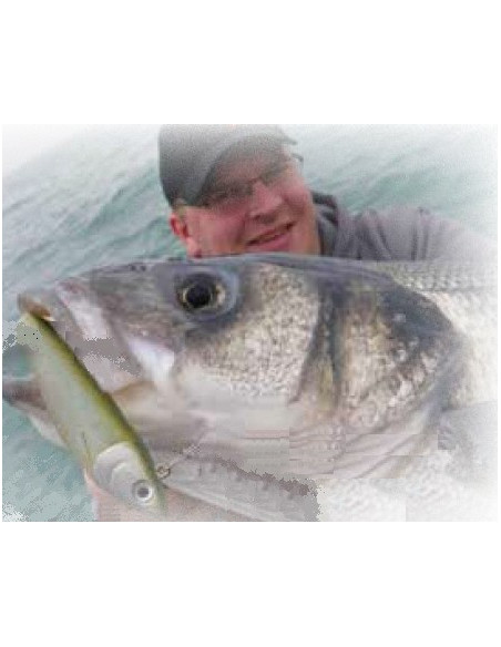 Storm Leurre souple ULTRA SHAD - Coloris CH - 17cm / 80g - profondeur de nage : Variable - 1 montÃ© +1 non montÃ© - 3