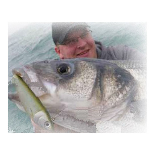 Storm Leurre souple ULTRA SHAD - Coloris OLPRL - 17cm / 80g - profondeur de nage : Variable - 1 montÃ© +1 non montÃ© - 3