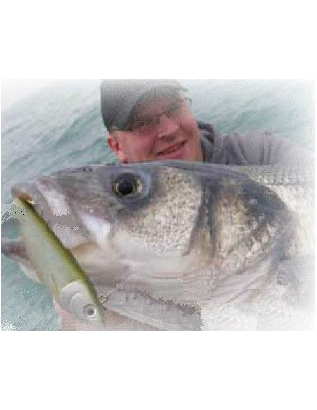 Storm Leurre souple ULTRA SHAD - Coloris OLPRL - 17cm / 80g - profondeur de nage : Variable - 1 montÃ© +1 non montÃ© - 3