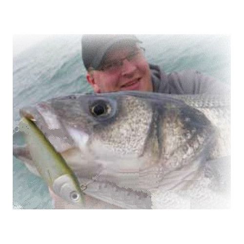 Storm Leurre souple ULTRA SHAD - Coloris HMU - 17cm / 80g - profondeur de nage : Variable - 1 montÃ© +1 non montÃ© - 3