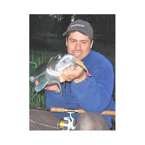 Storm Leurre souple ULTRA SHAD LIGHT - Coloris P - 12cm / 18g - profondeur de nage : Variable - 1 montÃ© +1 non montÃ© - 3