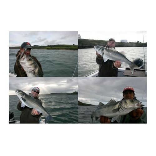 Storm Tête plombée LIPWEIGHT SHAD FIXE - Coloris SS - 50g - 2 pièces par sachet - 2
