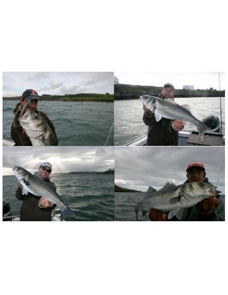 Storm Tête plombée LIPWEIGHT SHAD FIXE - Coloris SS - 50g - 2 pièces par sachet - 2