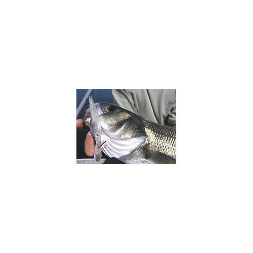 Rapala Leurres durs  HUSKY JERK - coloris CLN -  12cm / 13g - profondeur de nage de 1.20 à 2.40m - 2