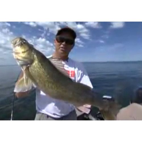 Rapala Leurres durs  MAX RAP FAT MINNOW - coloris FGFR - 9cm / 13g - profondeur de nage de 2.40 à 3m - 2