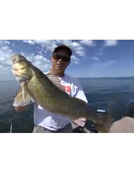 Rapala Leurres durs  MAX RAP FAT MINNOW - coloris YGRU - 9cm / 13g - profondeur de nage de 2.40 à 3m - 2