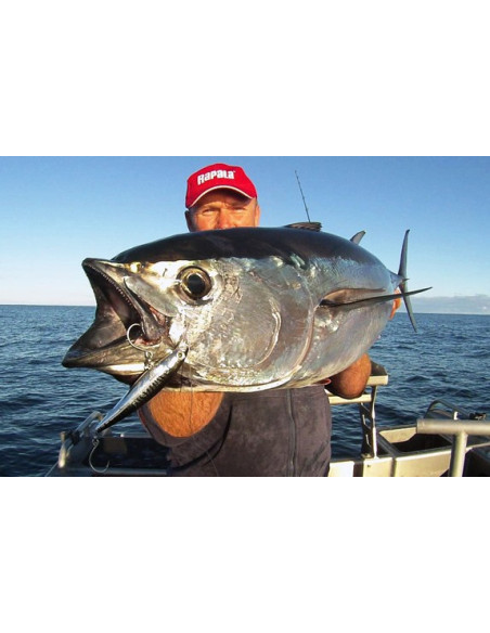 Rapala Leurres durs XXX-RAP CAST- coloris GCH - 14cm / 54g - profondeur de nage 1.50m - 3
