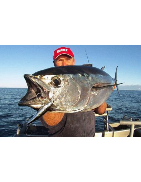 Rapala Leurres durs XXX-RAP CAST- coloris GOSCU - 14cm / 54g - profondeur de nage 1.50m - 2
