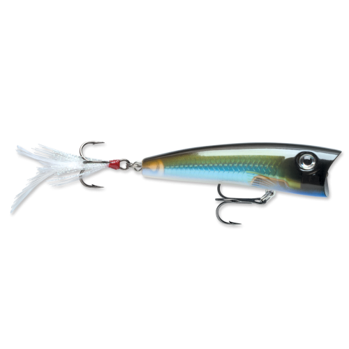 Rapala Leurres durs X-RAP POP - coloris MBS - 7cm / 11g - profondeur de nage : surface - 1