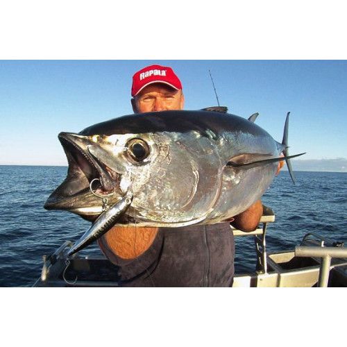 Rapala Leurres durs XXX-RAP - coloris OC - 10cm / 14g - profondeur de nage 1.50m - 3