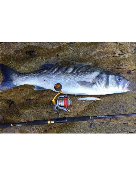 Rapala Leurres durs MAXRAP LONG RANGE MINNOW - coloris FBSRD - 12cm / 20g - profondeur de nage : 1.20m - 2