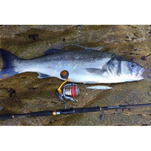 Rapala Leurres durs MAXRAP LONG RANGE MINNOW - coloris FS - 12cm / 20g - profondeur de nage : 1.20m - 2