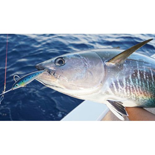 Rapala Leurres durs X-RAP LONG CAST SHALLOW - coloris RH - 12cm / 36g - profondeur de nage : Variable - 3