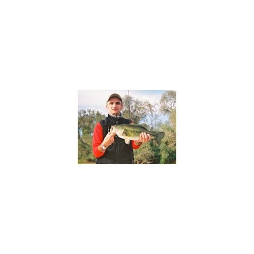 Rapala Leurres durs SKITTER POP - coloris FML - 7cm / 7g - profondeur de nage surface - 3